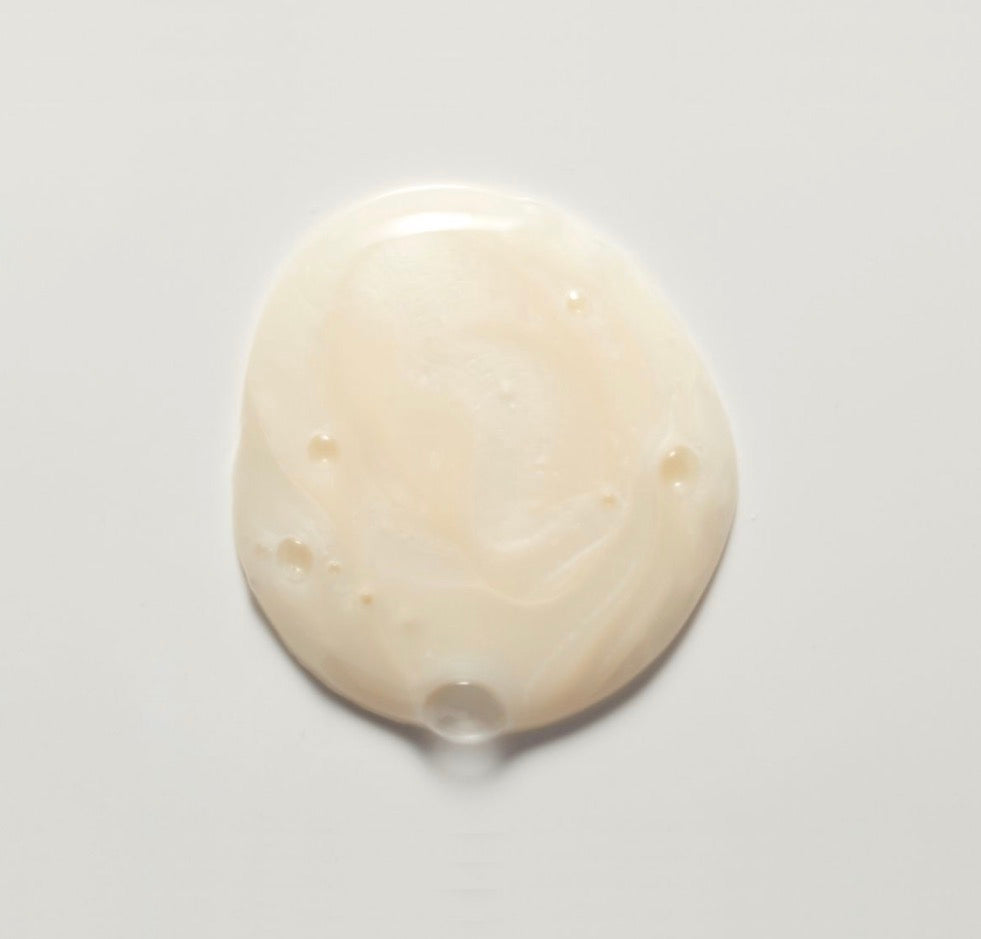 Round, beige-colored object on a light gray background